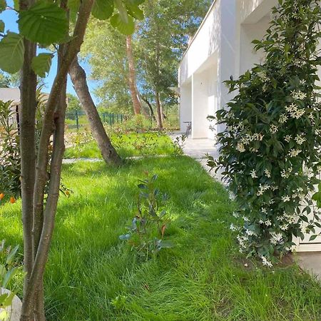 Villa Hanna Ulcinj Ngoại thất bức ảnh