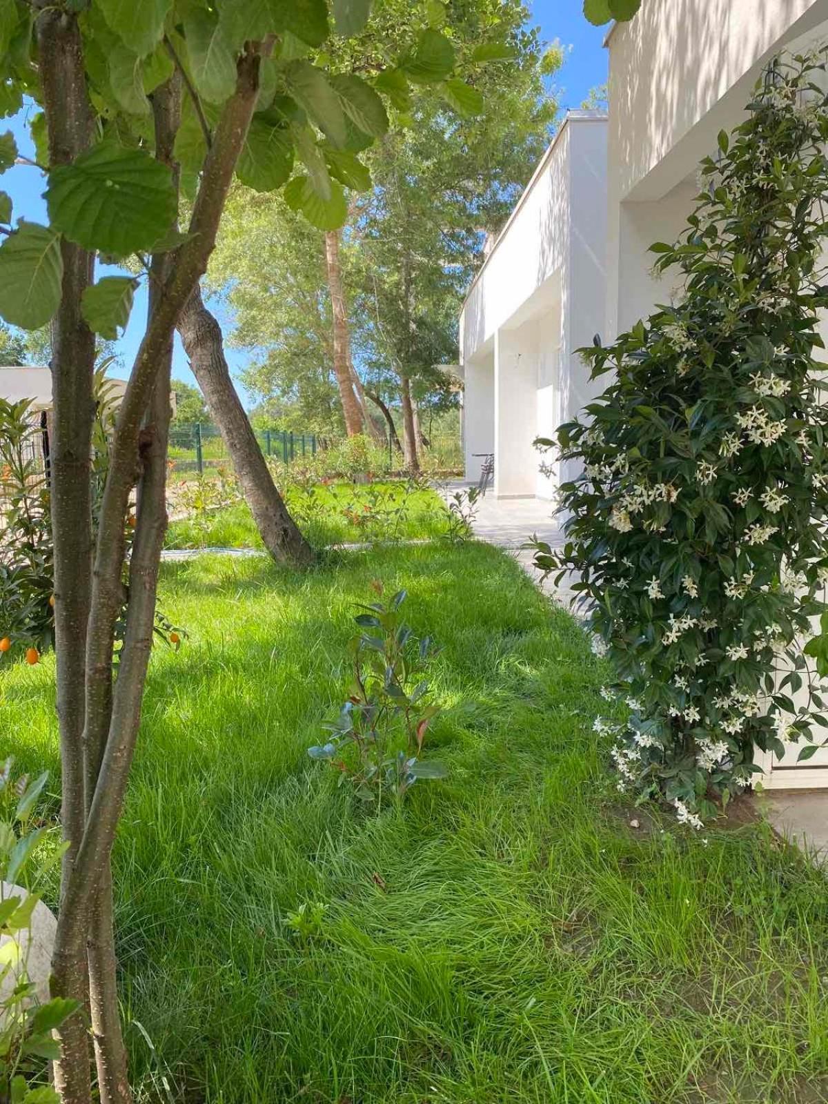 Villa Hanna Ulcinj Ngoại thất bức ảnh